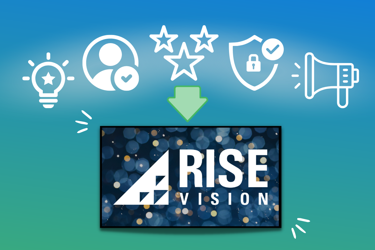 rise vision crypto